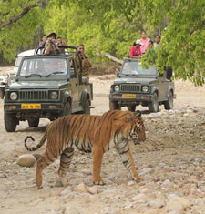 Corbett National Park