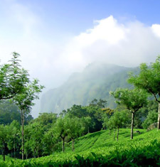 Coonoor