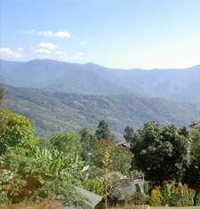 Kalimpong