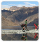 Pangong Lake, Leh