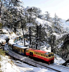 Shimla