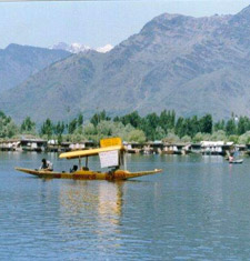 Srinagar