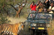 Golden Triangle with Ranthambore Tour