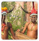 Bison Horn Tribes, Chhatisgarh
