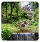 Nilgiri Hills, Munnar