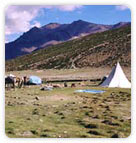 Nyimaling Camp