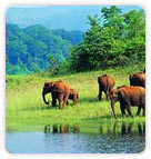 Periyar Sanctuary