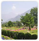 Shalimar Bagh, Srinagar